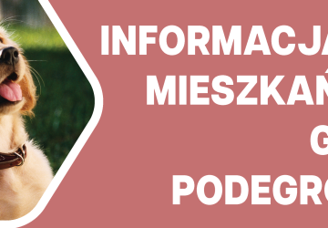 Informacja dla mieszkańców w sprawie opieki nad psami