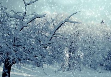 OSTRZEŻENIE METEOROLOGICZNE  - intensywne opady śniegu, silny wiatr, zawieje i zamiecie śnieżne