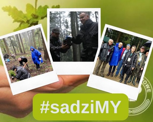 Akcja #sadziMY przede wszystkim uczymy szacunku do przyrody i lasu