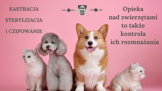 Informacja o możliwości wykonania zabiegu kastracji/sterylizacji zwierząt domowych