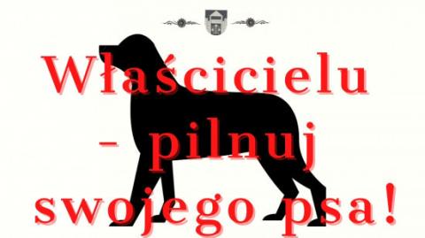 Apel do mieszkańców Gminy Podegrodzie – Pilnuj swojego psa!