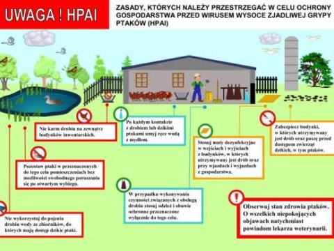 Wystąpienie pierwszego ogniska wysoce zjadliwej grypy ptaków  podtyp H5N1 na terenie województwa małopolskiego