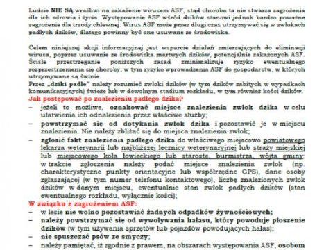 Jak postępować w przypadku znalezienia padłego dzika