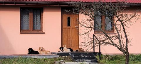Miejscowość Gostwica!