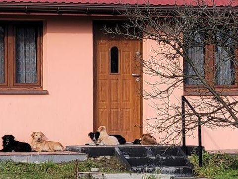 Miejscowość Gostwica!