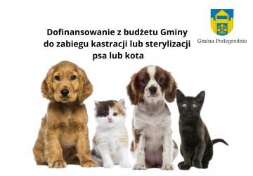 Informacja o możliwości wykonania zabiegu kastracji/sterylizacji zwierząt domowych