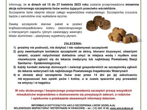 Akcja dotycząca ochronnego szczepienia lisów wolno żyjących przeciwko wściekliźnie