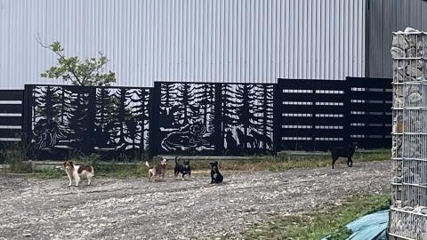 APEL DO MIESZKAŃCÓW MIEJSCOWOŚCI CHOCHOROWICE