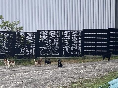 APEL DO MIESZKAŃCÓW MIEJSCOWOŚCI CHOCHOROWICE