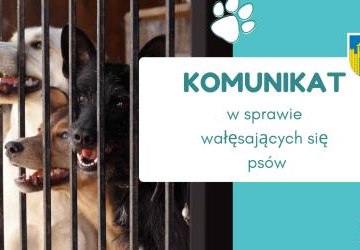 Komunikat dot. wałęsających się psów