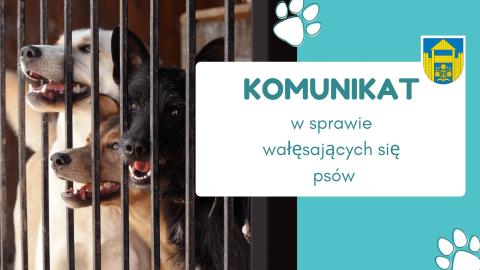 Komunikat dot. wałęsających się psów