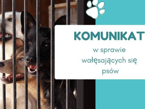 Komunikat dot. wałęsających się psów