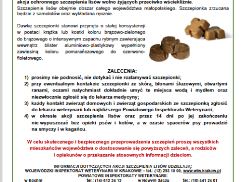 Wiosenna akcja ochronnego szczepienia lisów wolno żyjących przeciwko wściekliźnie
