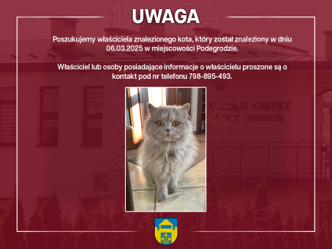 Poszukujemy właściciela znalezionego kota w miejscowości Podegrodzie