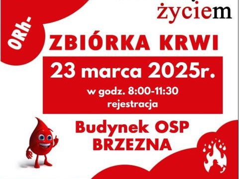 Akcja poboru krwi w Brzeznej