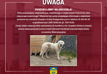 Poszukujemy właściciela znalezionego psa - Podrzecze