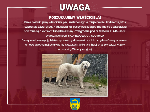 Poszukujemy właściciela znalezionego psa - Podrzecze