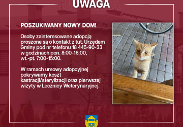 Poszukiwany nowy dom