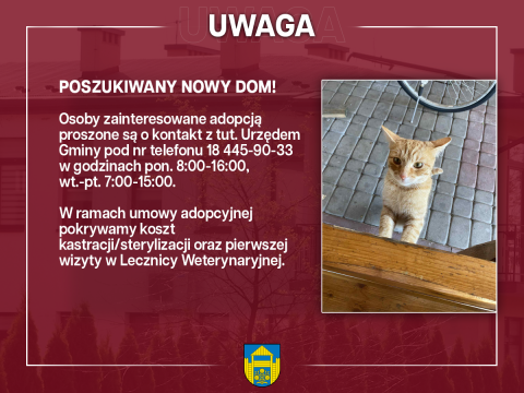 Poszukiwany nowy dom