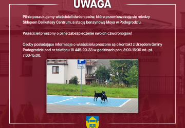 Pilnie poszukujemy właścicieli dwóch psów - Podegrodzie