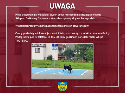 Pilnie poszukujemy właścicieli dwóch psów - Podegrodzie