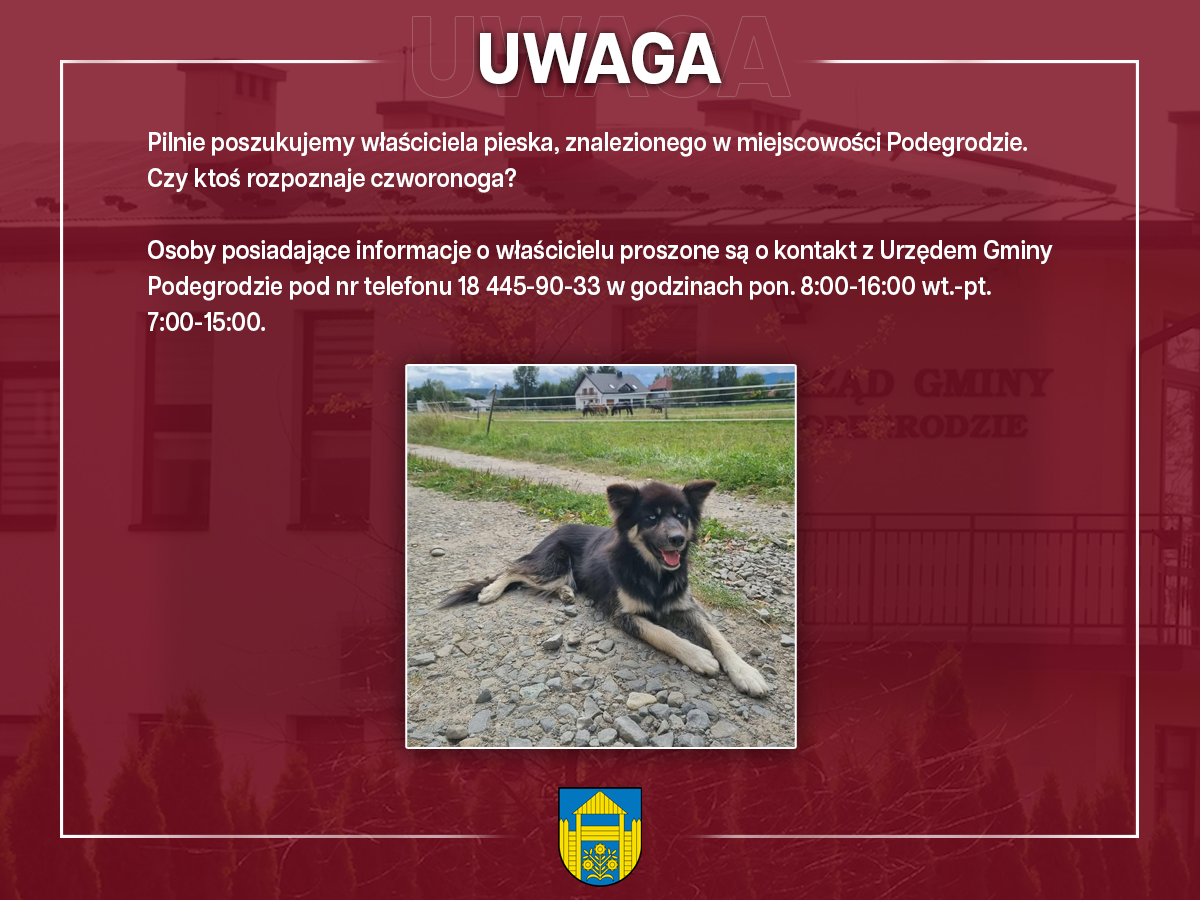 OGŁOSZENIA I KOMUNIKATY