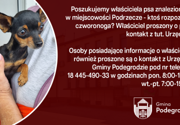 Poszukujemy właściciela psa znalezionego w miejscowości Podrzecze