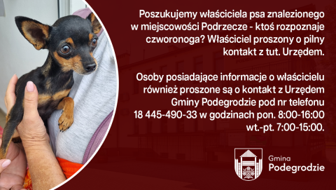 Poszukujemy właściciela psa znalezionego w miejscowości Podrzecze