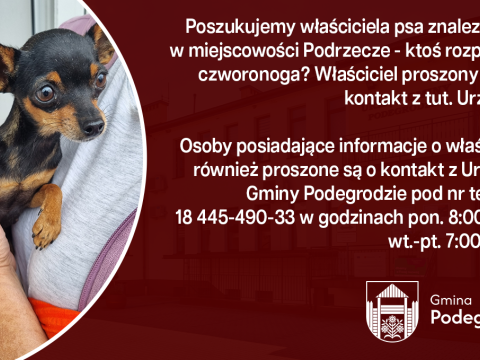 Poszukujemy właściciela psa znalezionego w miejscowości Podrzecze