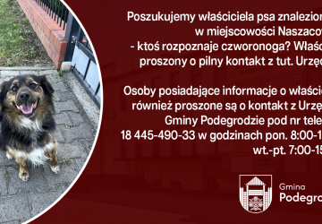 Poszukujemy właściciela znalezionego psa - Naszacowice