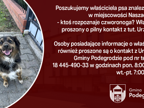 Poszukujemy właściciela znalezionego psa - Naszacowice