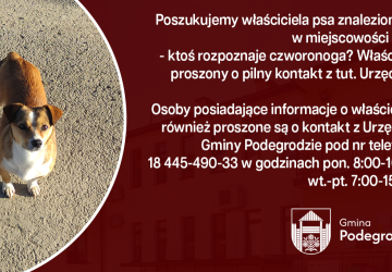 Poszukujemy właściciela znalezionego psa - Rogi