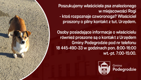 Poszukujemy właściciela znalezionego psa - Rogi
