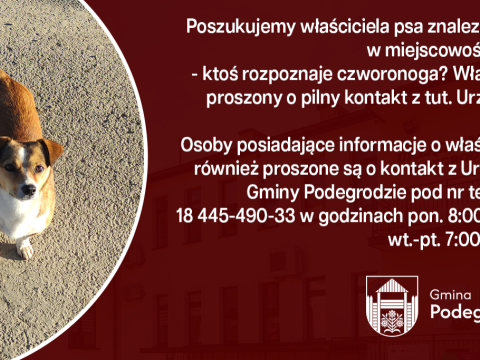 Poszukujemy właściciela znalezionego psa - Rogi