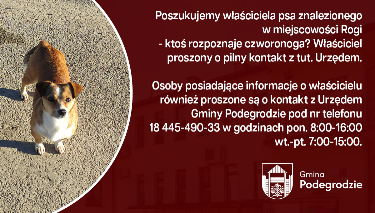 OGŁOSZENIA I KOMUNIKATY