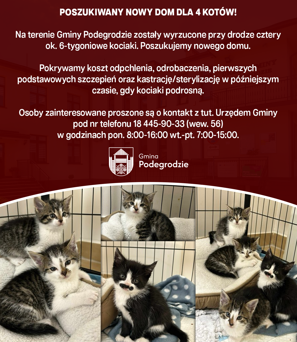 OGŁOSZENIA I KOMUNIKATY