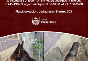 Poszukujemy właściciela znalezionego psa - Brzezna