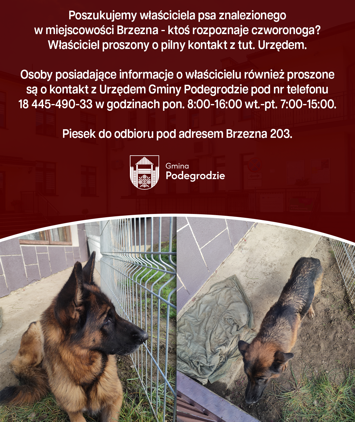 OGŁOSZENIA I KOMUNIKATY