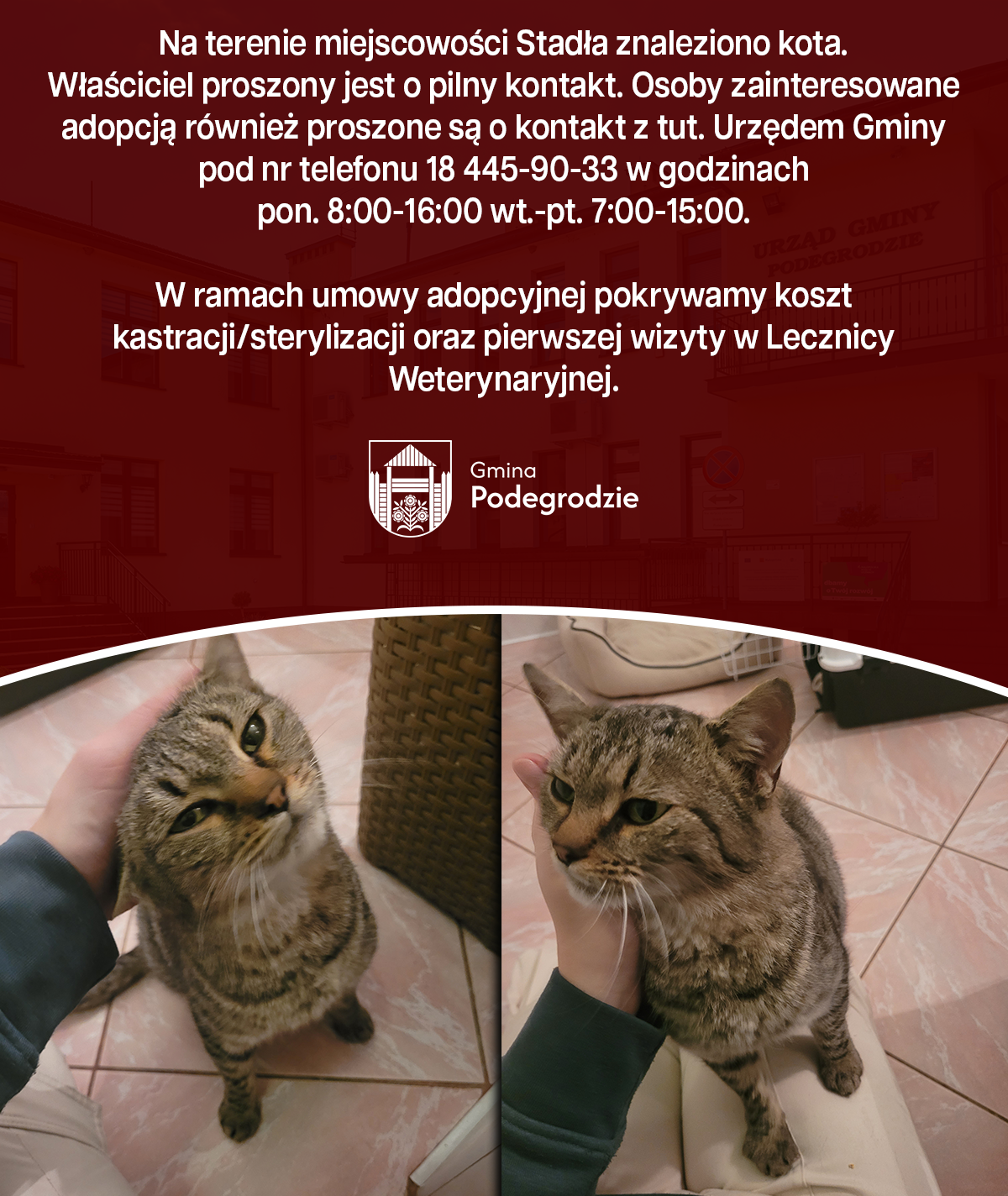 OGŁOSZENIA I KOMUNIKATY