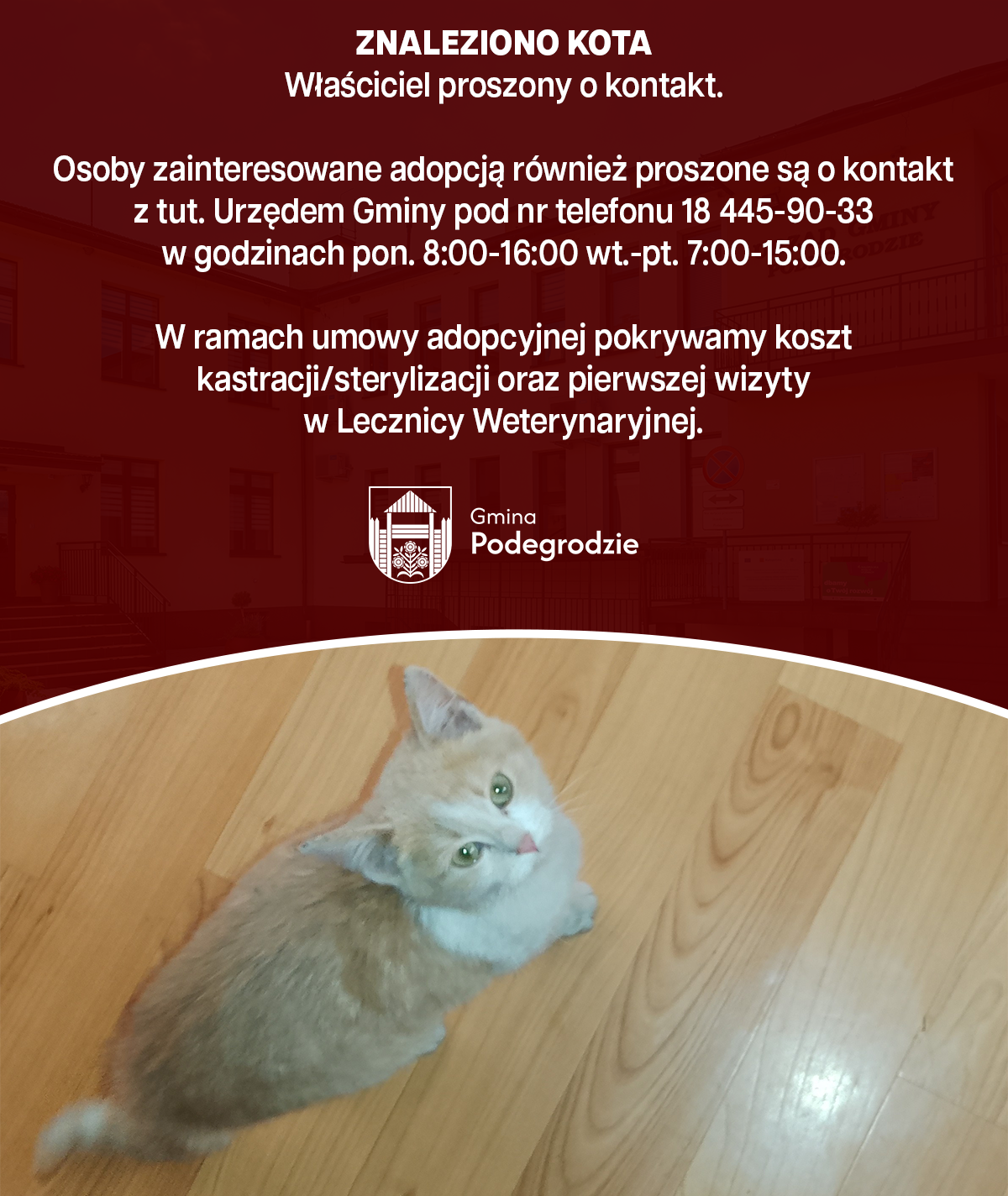 OGŁOSZENIA I KOMUNIKATY