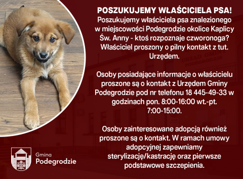 Poszukujemy właściciela znalezionego psa - Podegrodzie