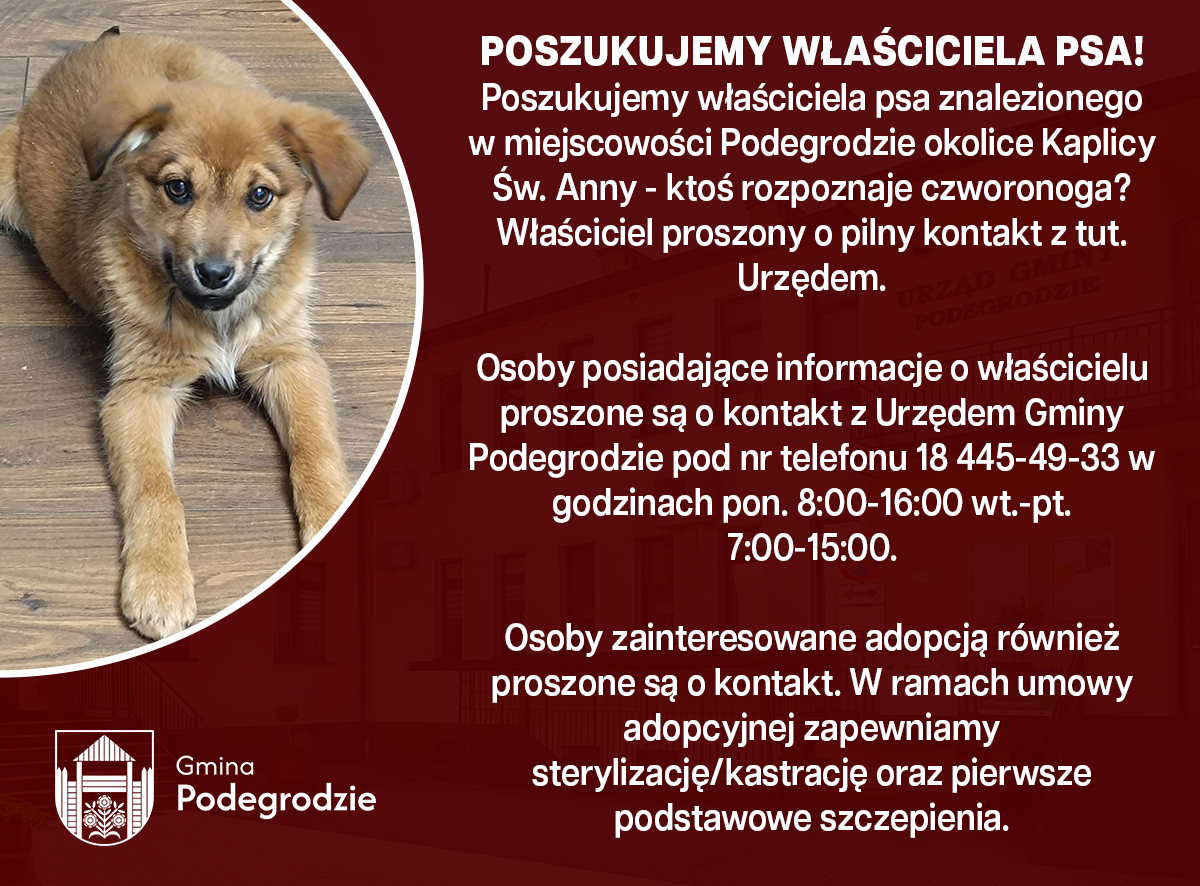 OGŁOSZENIA I KOMUNIKATY