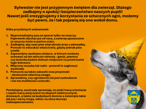 Sylwester, a zwierzęta
