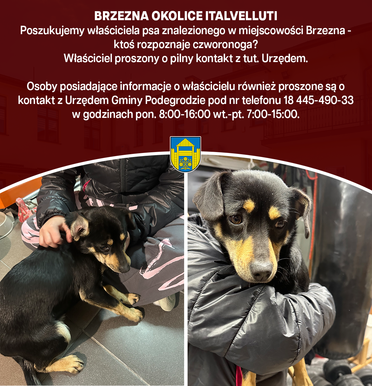 OGŁOSZENIA I KOMUNIKATY