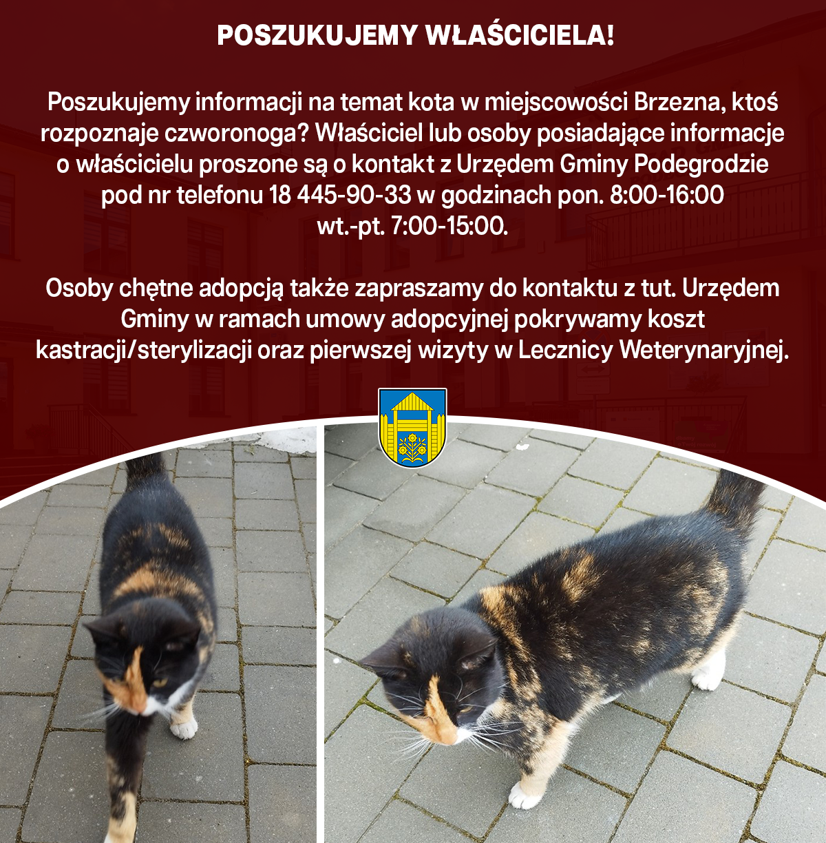 OGŁOSZENIA I KOMUNIKATY