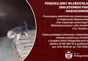 Poszukujemy właściciela znalezionego psa - Naszacowice