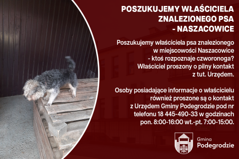Poszukujemy właściciela znalezionego psa - Naszacowice
