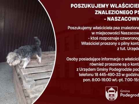 Poszukujemy właściciela znalezionego psa - Naszacowice
