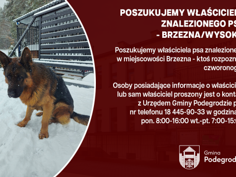 Poszukujemy właściciela znalezionego psa - Brzezna/Wysokie