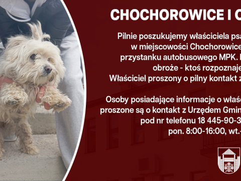 Poszukujemy właściciela znalezionego psa - Chochorowice